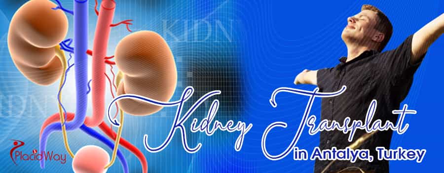 Kidney Transplant in Turkey